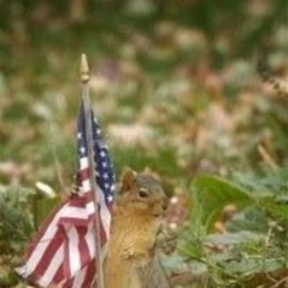 Meet your Posher, Cindy - Picture 1 of 1